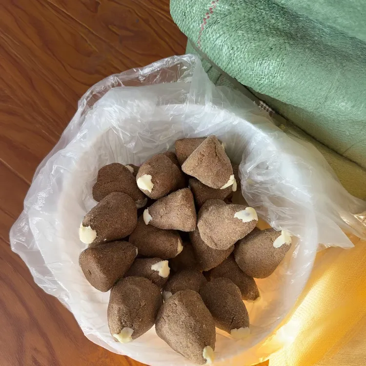 纳木措牛特色奶渣小吃