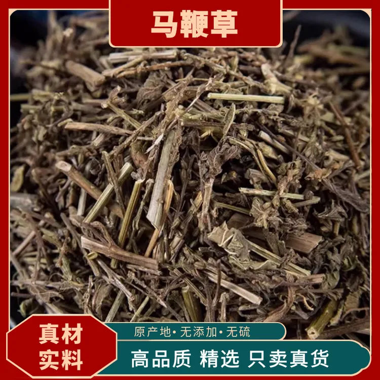 马鞭草新鲜干货野生中药材马鞭草铁马鞭马边草马边草马鞭梢原料
