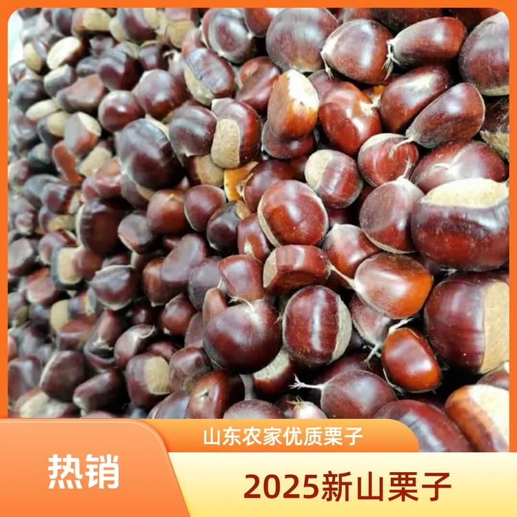 【推荐笨栗子薄皮】高山老树老品种 口感浓香 粉糯香甜3斤5斤 包邮