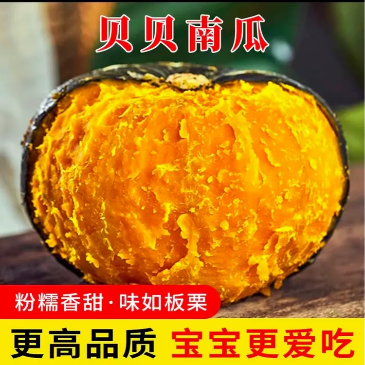 【富土】正宗贝贝南瓜小南瓜粉糯香甜板栗味沙地贝贝南瓜坏果包赔
