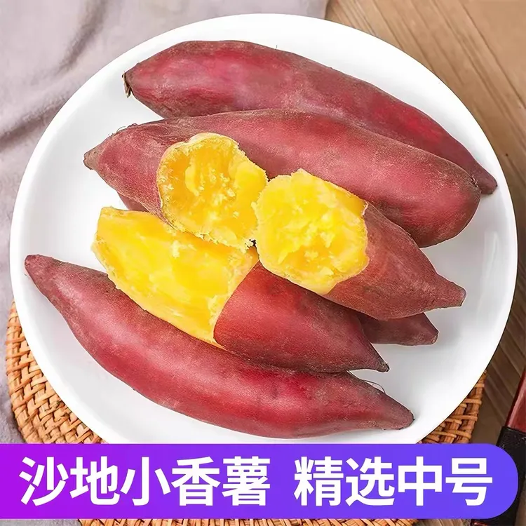 新鲜小香薯黄心红薯板栗味代餐地瓜粗粮营养辅食番薯蔬菜农产品商品图