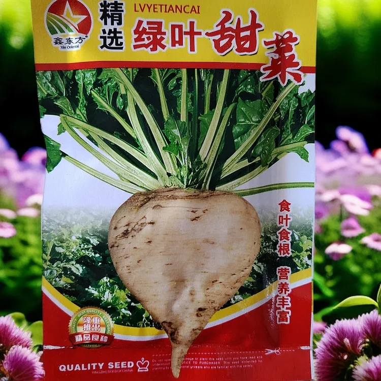 大叶甜菜籽拍一发二