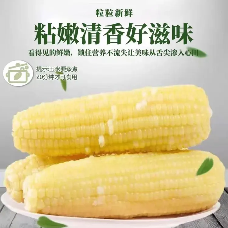 【10根 6.5-7斤】正宗东北软粘白糯玉米独立真空包装TT