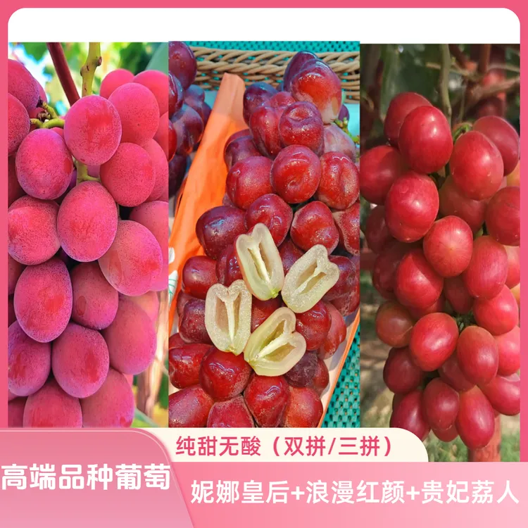 【妮娜皇后+浪漫红颜】双拼纯甜无酸高端新鲜葡萄浓香➕蜜香顺丰
