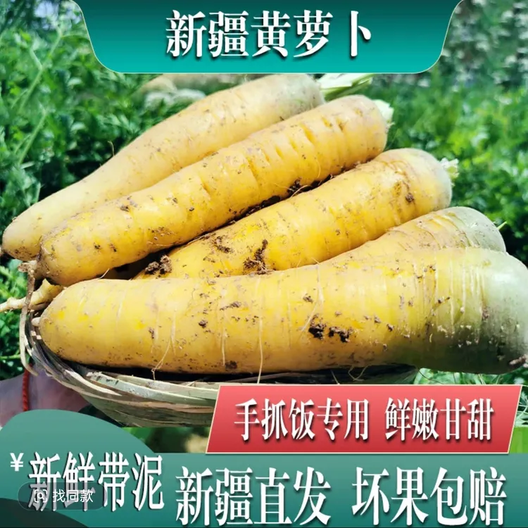 （新疆产地直发）正宗新疆水果抓饭黄萝卜新鲜蔬菜缸子胡萝卜