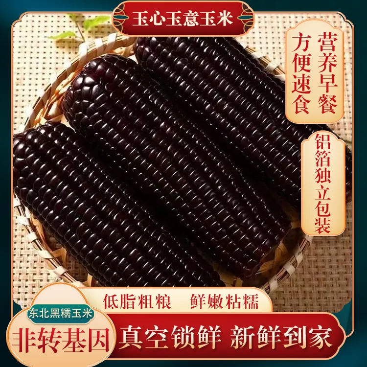 【整箱5.1斤】【透明装】东北黑糯玉米新鲜采摘香甜软糯10支透明装