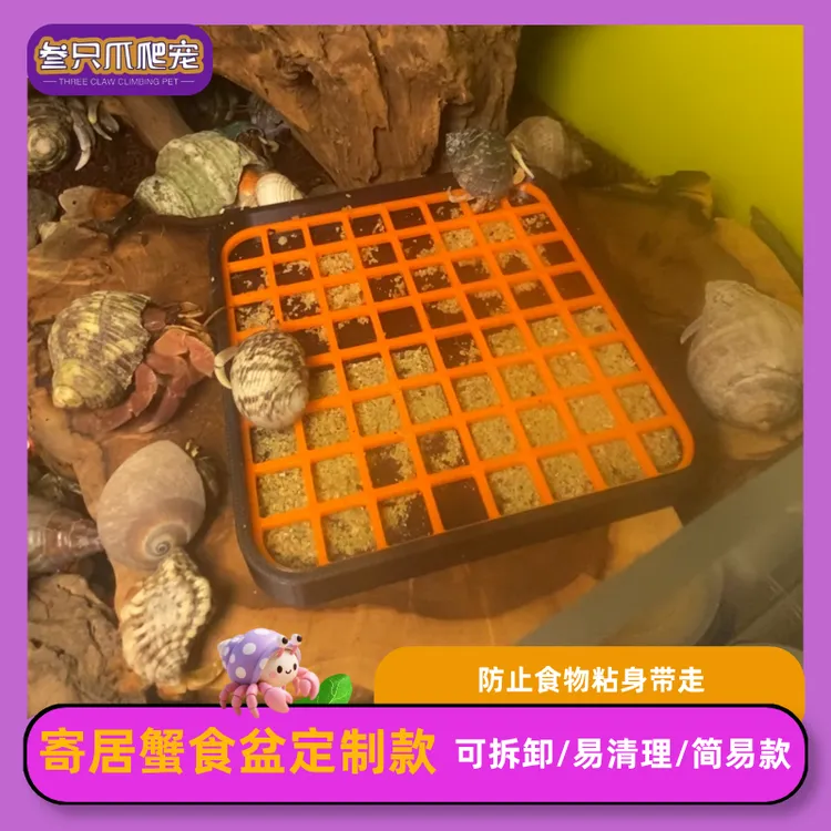 叁只爪寄居蟹专用3D网格食碗网格防带走可拆卸易清洁【多颜色可选】