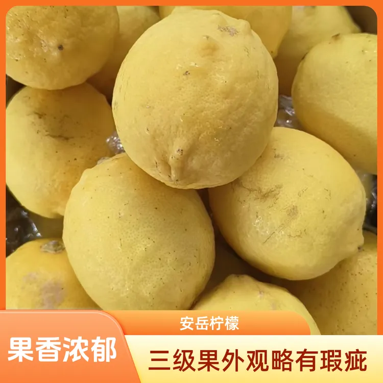 2025新果（四川安岳柠檬果园采摘直发果香浓郁净重  ）新鲜采摘微苦
