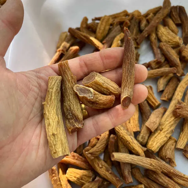 别直参 高丽参腿 大腿丁 自用高性价比 