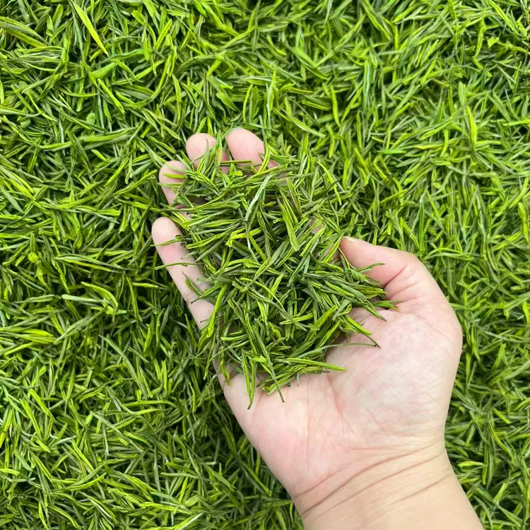 A180【爆款水晶白茶】2025新茶原产地高山绿茶500g一斤装