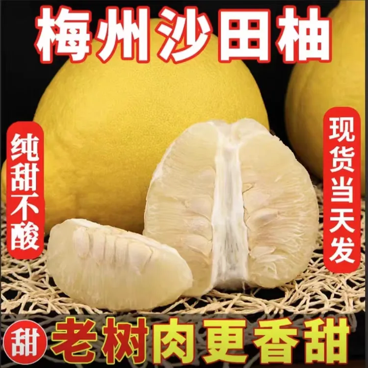 正宗梅州沙田柚纯甜无酸当季应季水果新鲜孕妇水果农村柚子白柚子