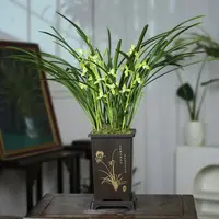 【3-5花剑】建兰铁骨素梅兰花基地直发树脂花盆种好办公室阳台绿植