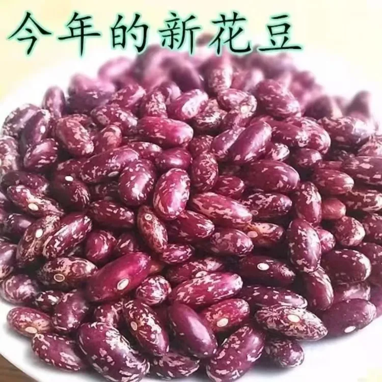 【抢5斤包邮】黑龙江农家紫花芸豆饭豆大碴子原产地正宗五谷杂粮