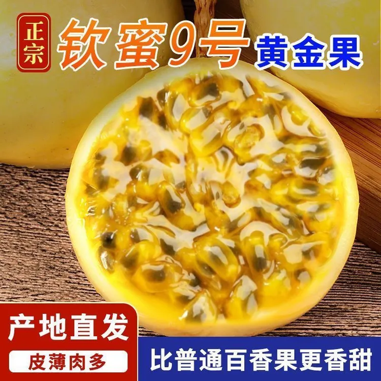 【送开果器】正宗广西钦蜜9号百香果新鲜现摘现发香甜多汁果味浓郁x