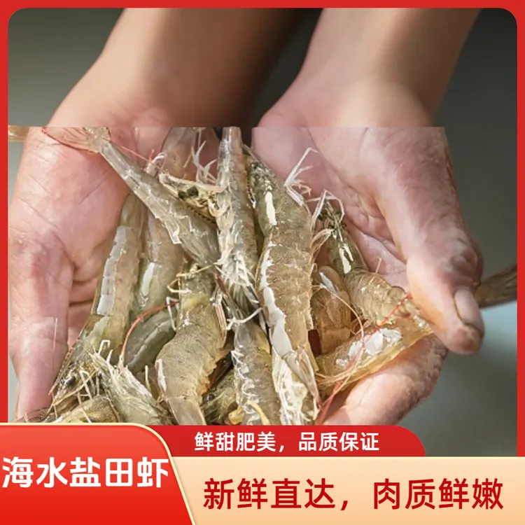 鲜甜口感海水盐田，盐场规格35-40头/斤嫌小勿拍，大小生水产海鲜