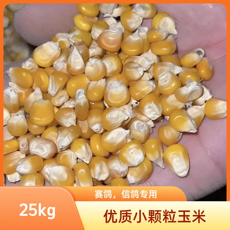 优质小颗粒鸽粮玉米，信鸽赛鸽观赏鸽粮50斤实惠装