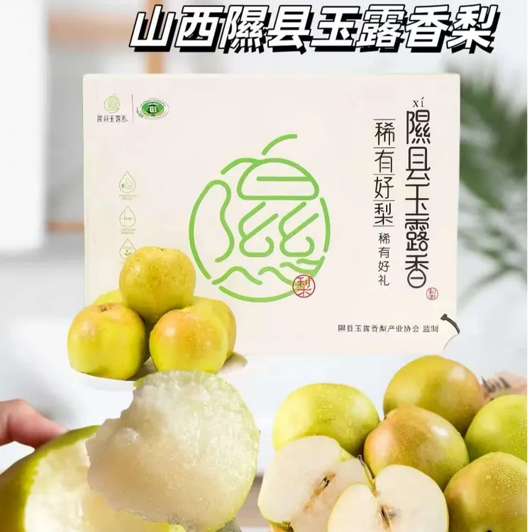 昕国果业·山西隰县玉露香梨4.5-8.5斤 当季新鲜水果脆甜可口多汁
