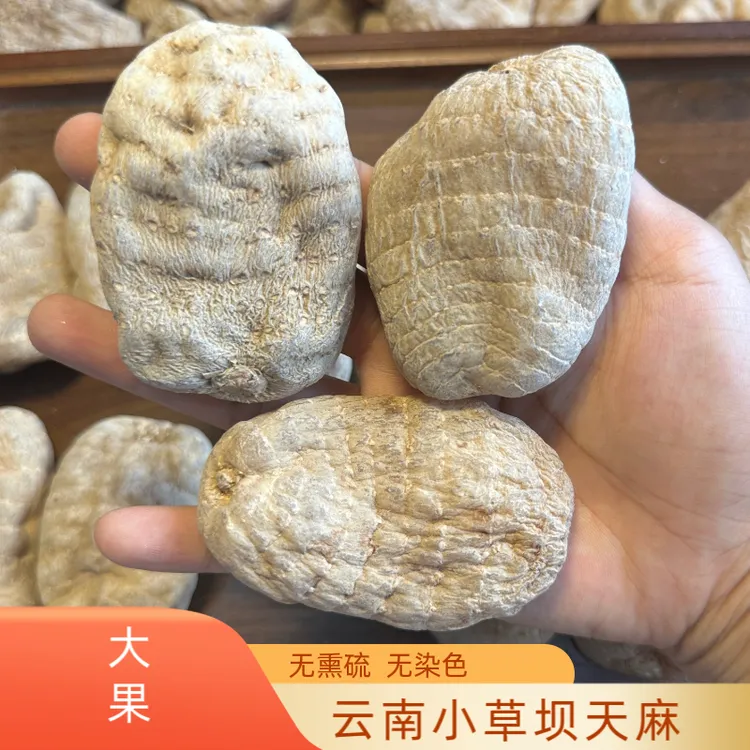 【大果天麻】云南昭通小草坝大果天麻可煲汤可泡水食用
