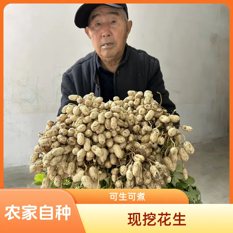 2025农家自种新鲜现挖带壳带泥可生吃水煮的湿花生
