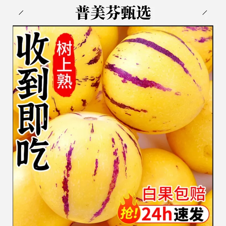 云南石林树上自然成熟黄肉圆果果新鲜多汁清甜好吃