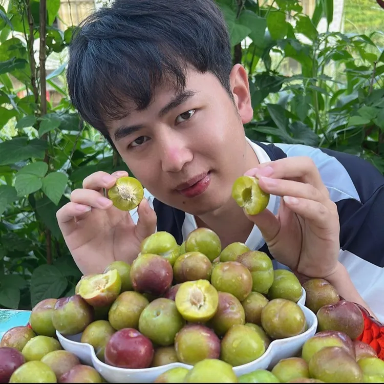 云南绥江半边红李子脆甜可口坏果包赔5斤包邮甜脆李新鲜水果李子