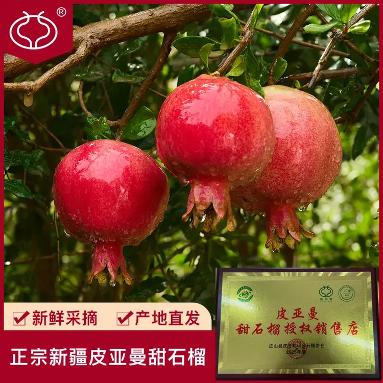 皮亚曼【双11抢先购】中大果新疆和田皮亚勒玛乡甜石榴产地直发水果