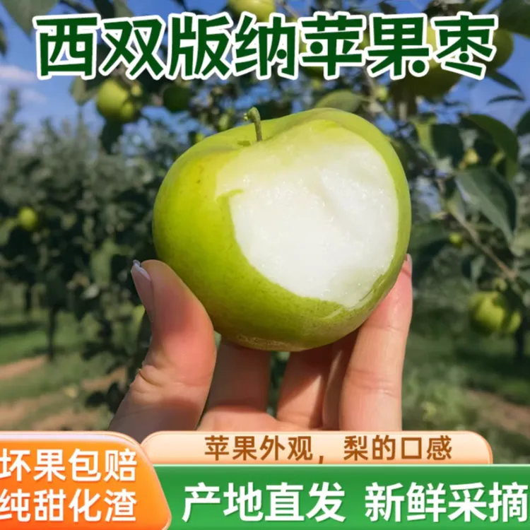 【正宗】西双版纳苹果枣脆甜新鲜应季水果特产大果孕妇水果直销
