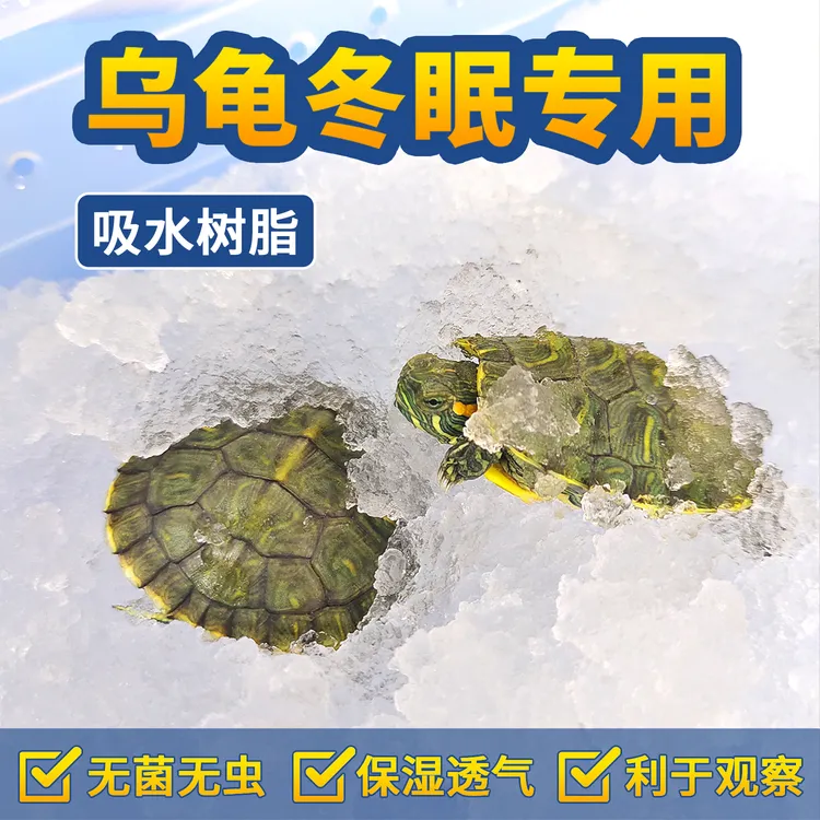 乌龟冬眠箱爬宠饲养盒蜘蛛蝎子角蛙蜥蜴蜗牛吸水树脂宠物箱乌龟缸