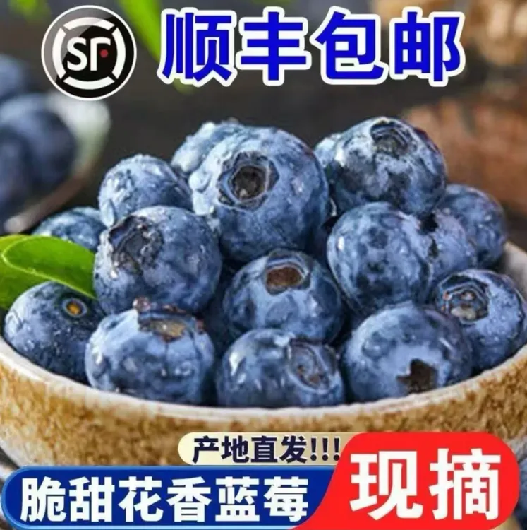 【梦之声甄选】蓝莓当季新鲜酸甜多汁大颗饱满产地直发