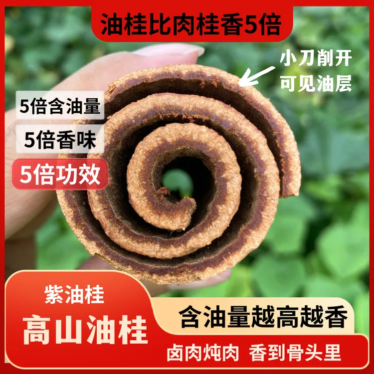 【油桂】25年新货高山紫油桂精选无硫肉桂皮卤肉炖肉香料泡水