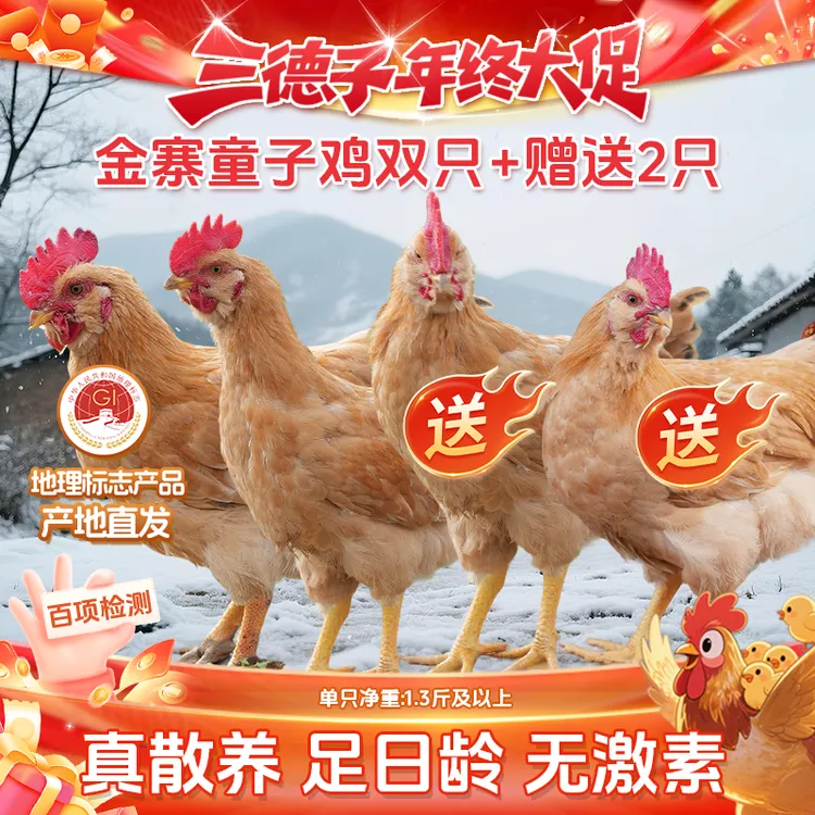 三德子【金寨童子鸡买2赠2】地标产品散养土鸡 清蒸白切安徽发货