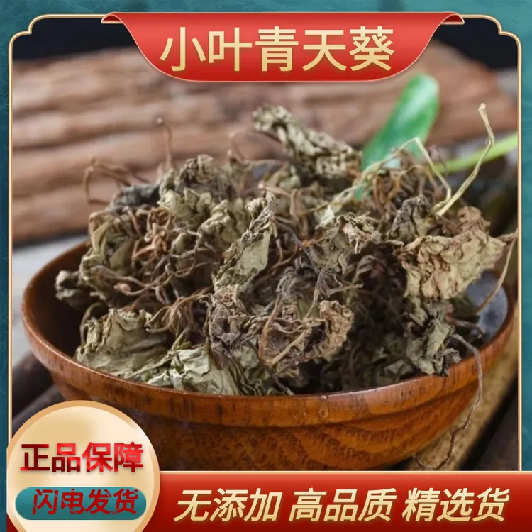 小叶青天葵野新鲜干货无硫半边伞独叶莲特产新货自然晒干中药材