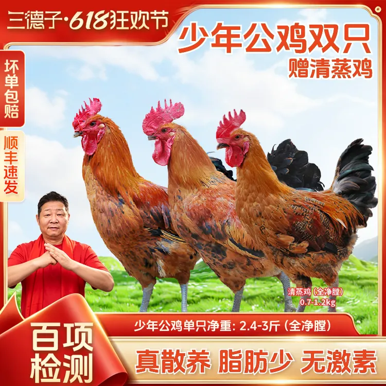 三德子【生态土鸡3只】少年公鸡散养土鸡轻食优选走亲访友送礼礼盒商品图