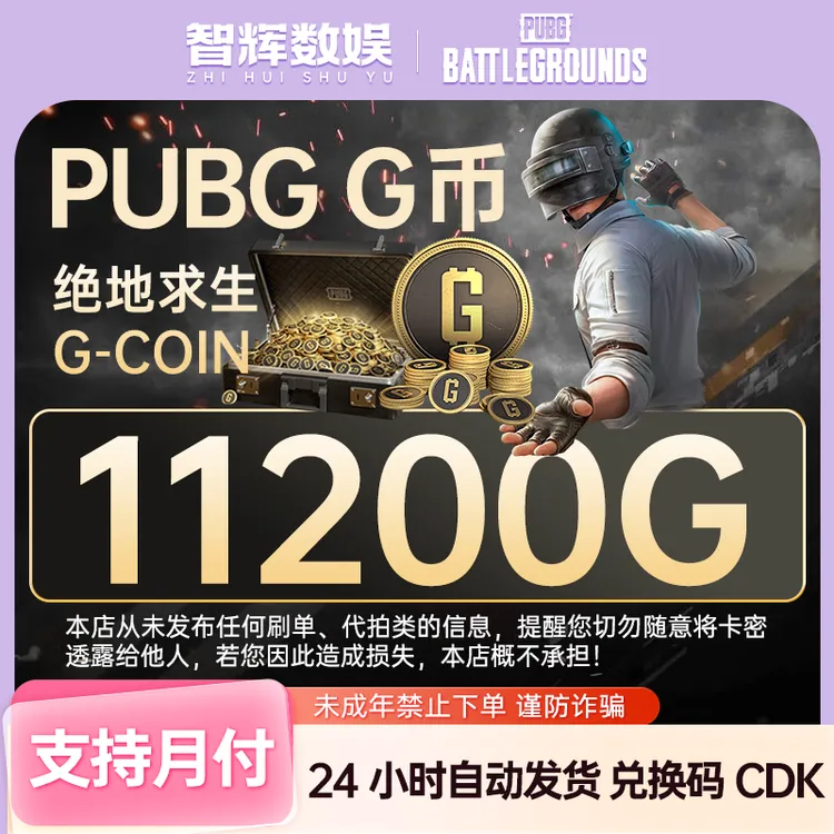 PUBG G币11200G-coin绝地求生gb端游CDK游戏币金币cdk兑换码pubg商品图