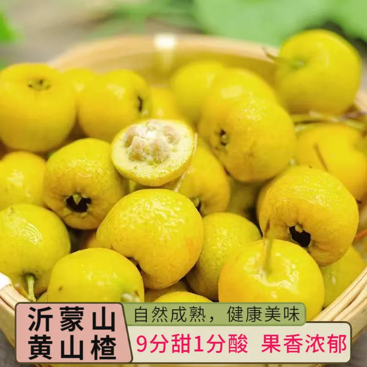稀奇水果沂蒙山黄金如意黄甜山楂九分甜一分酸（新果现发）