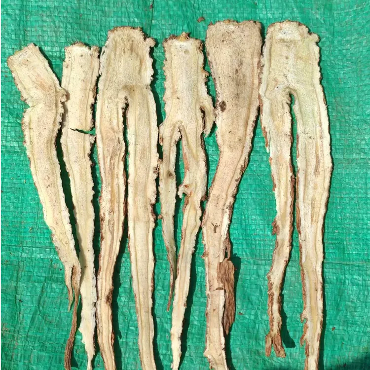 岷县直发整棵当归切片有头有尾可泡水煮水煲汤当归中药材正品