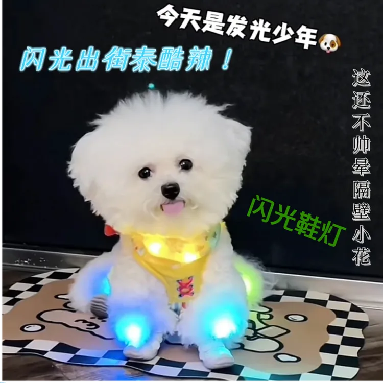 狗狗发光鞋灯宠物夜光灯比熊泰迪项圈灯胸背夜灯夜间遛狗防丢鞋灯