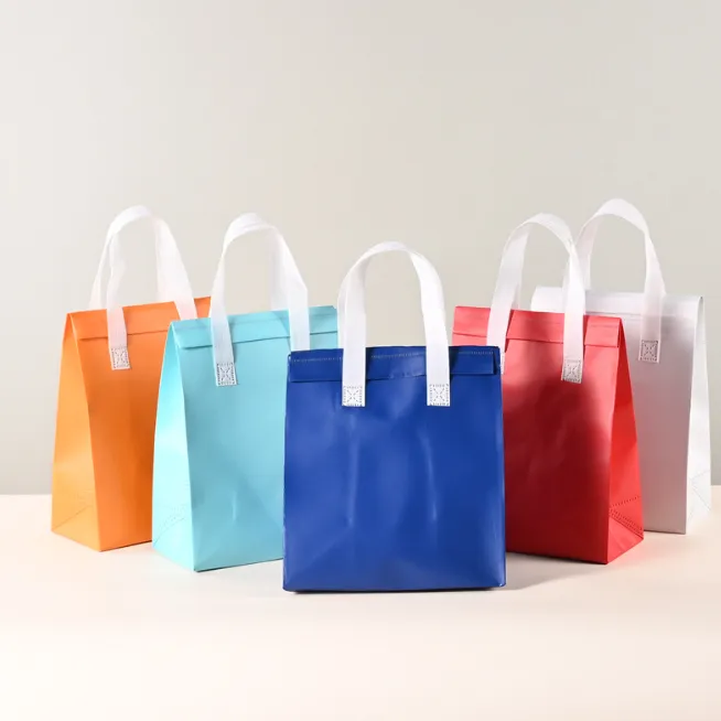 手提便携防水无纺布袋商品图