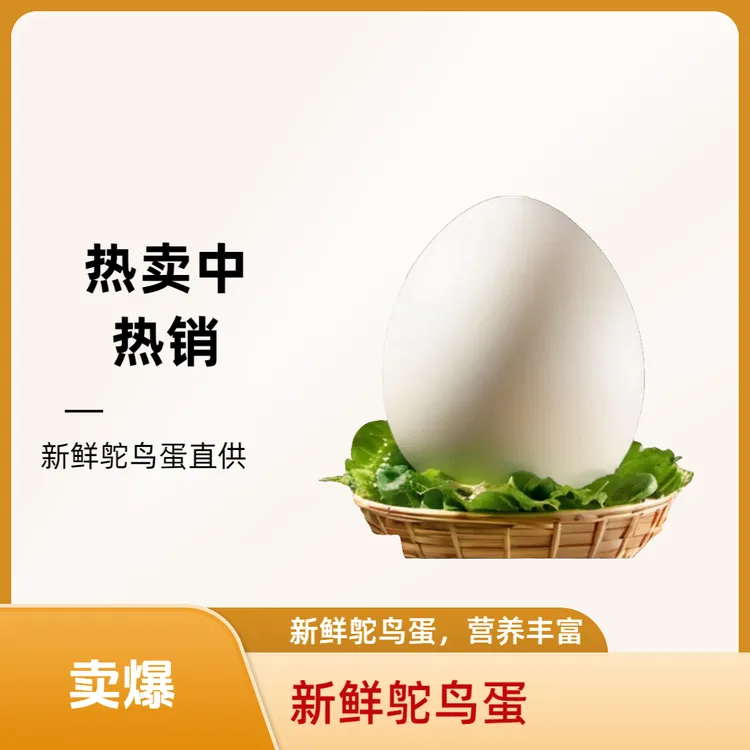 鸵鳥大蛋一枚带礼盒营养健康老人小孩 中秋送礼福利包装顺丰包邮