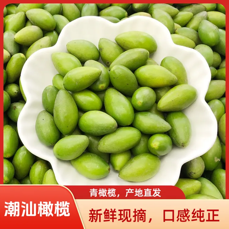 潮汕马蹄橄榄 青橄榄 青枣脆 新鲜现摘煲汤泡酒 生吃 1斤装包邮