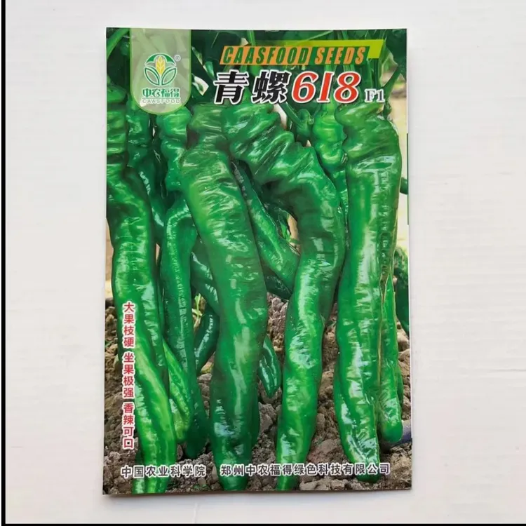 螺丝椒辣椒苗高产香辣特大辣椒种籽螺丝椒薄皮南方盆栽蔬菜苗秧孑