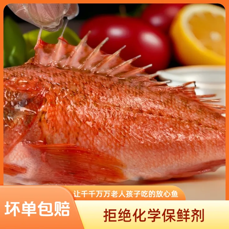 非养殖海鱼石斑鱼营养丰富石狗公虎头斑黑腹鲉鱼海鲜生鲜顺丰发货