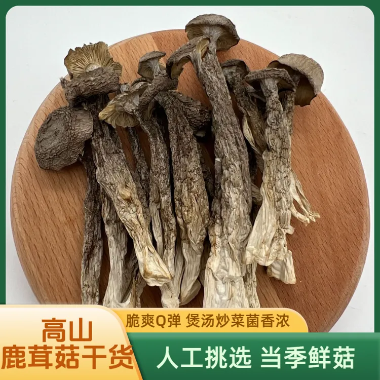 高山鹿茸菇精品农特产干货A