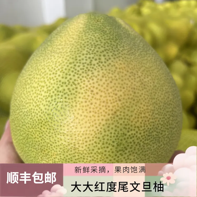 （袋装单果1斤以上50-100斤）度尾文旦柚新鲜水果脆甜当季现摘包邮