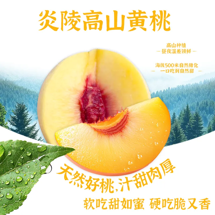 新鲜现摘正宗炎陵黄桃应季水果脆桃精品大果果园直发