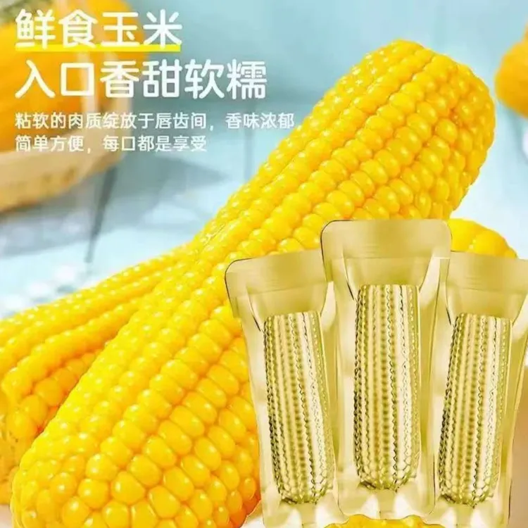 【铝箔12根】东北黄香糯玉米甜糯260-320g试吃3根整箱7-8斤