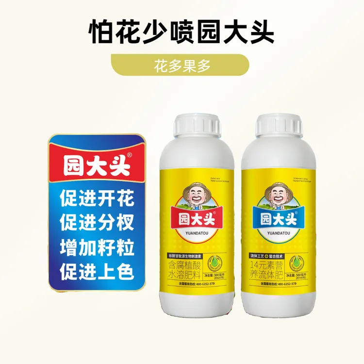 园大头辣椒高纯度高效肥使植物开花更多生根壮苗膨大拉直催芽授粉