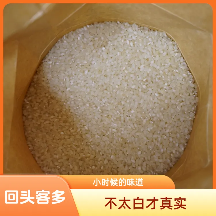生态稻虾共作产出的营养健康香米10斤，口感超棒