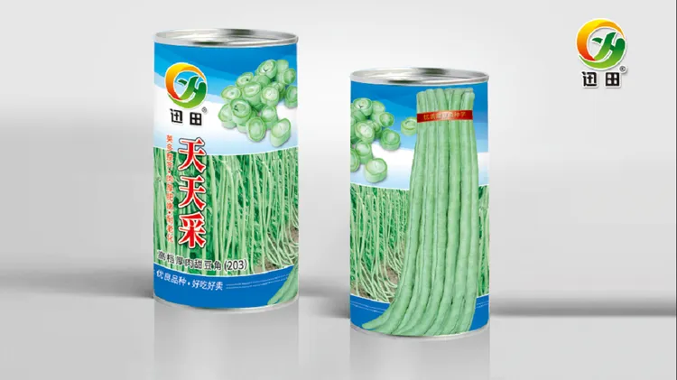 天天采大肉早熟高产翠绿条长豇豆豆角种子适合大面积播种