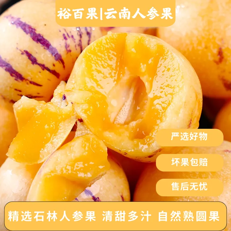 裕百果云南石林人参果新鲜现摘软糯香甜多汁水果S
